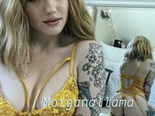 Morganallama