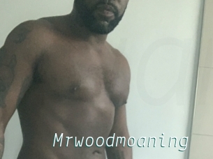 Mrwoodmoaning