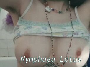 Nymphaea_Lotus