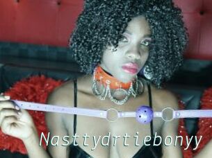 Nasttydrtiebonyy