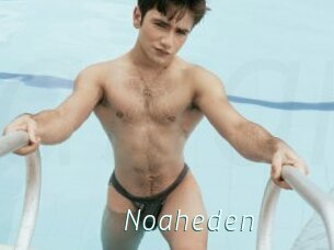 Noaheden