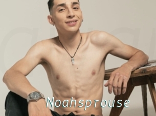Noahsprouse
