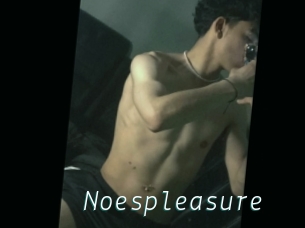 Noespleasure