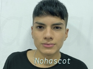 Nohascot