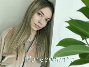 Noreenbunte