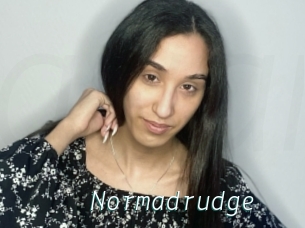 Normadrudge