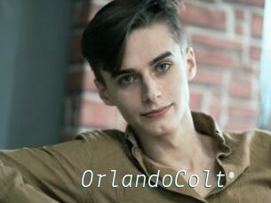 OrlandoColt