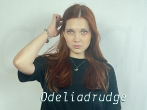 Odeliadrudge