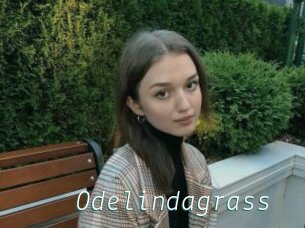 Odelindagrass