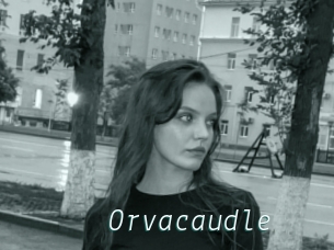 Orvacaudle