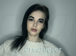 Orvafugler