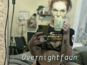 Overnightfaun