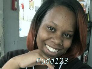 Pudd123