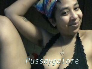 Pussaygalore