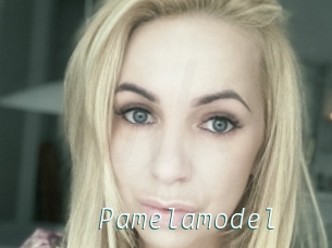 Pamelamodel