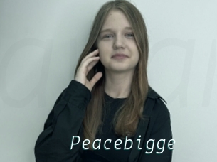 Peacebigge