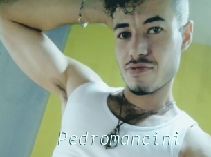 Pedromancini