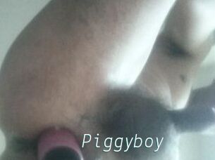 Piggyboy