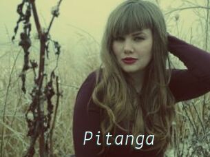 Pitanga