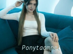 Ponytaamnel