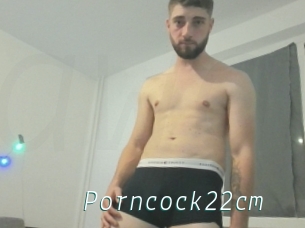 Porncock22cm