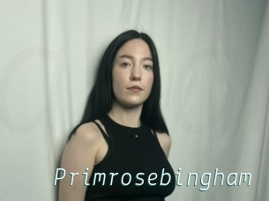 Primrosebingham