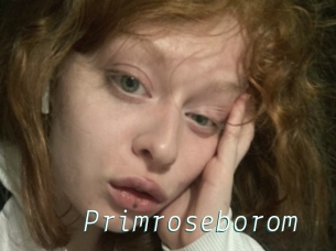 Primroseborom