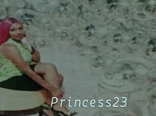 Princess23
