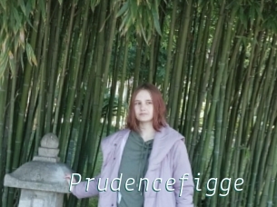 Prudencefigge