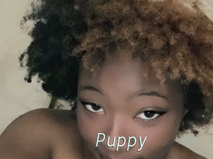 Puppy