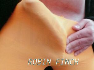 ROBIN_FINCH