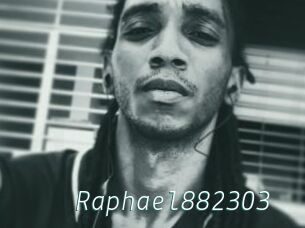 Raphael882303