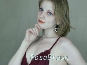 RosaBrown