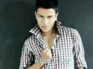 Raulnice