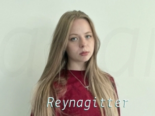 Reynagitter