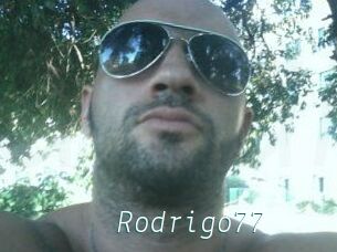 Rodrigo77