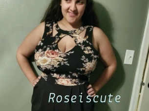 Roseiscute