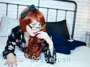 Rossebush