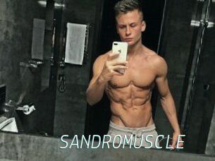 SANDRO_MUSCLE
