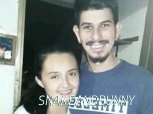 SNAKEANDBUNNY