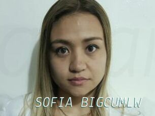 SOFIA_BIGCUMLW
