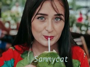 Sammycat