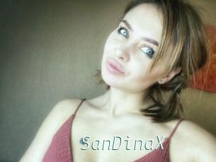 SanDinaX