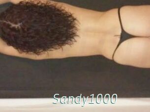 Sandy1000
