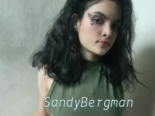 SandyBergman
