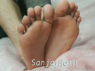 SanjayHorn