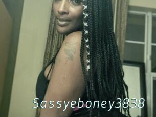 Sassyeboney3838