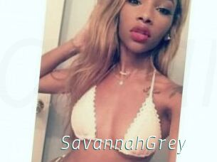 Savannah_Grey