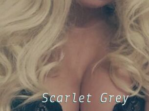 Scarlet_Grey