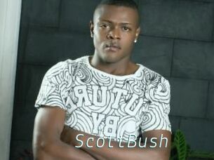 ScottBush